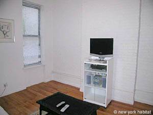 New York 2 Bedroom - Duplex accommodation - living room (NY-11748) photo 3 of 5