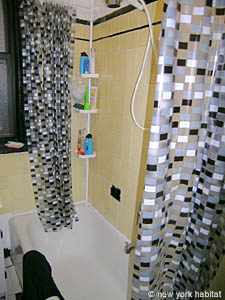 New York 4 Bedroom roommate share apartment - bathroom 1 (NY-11755) photo 3 of 3