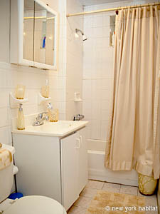 New York 3 Zimmer wohngemeinschaft - andere (NY-11777) photo 3 von 4