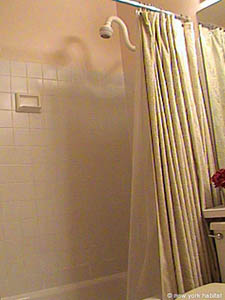 New York 2 Bedrooms apartment bathroom 1 photo 10