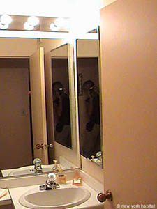 New York 2 Bedrooms apartment bathroom 1 photo 15