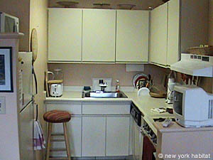 New York 2 Bedrooms apartment kitchen photo 18