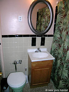 Nueva York Estudio alojamiento - ba&ntilde;o (NY-11802) photo 1 de 2