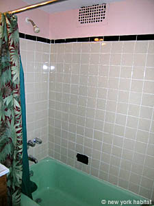 Nueva York Estudio alojamiento - ba&ntilde;o (NY-11802) photo 2 de 2