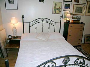 New York 3 Zimmer - Loft wohngemeinschaft - schlafzimmer 1 (NY-11806) photo 4 von 5