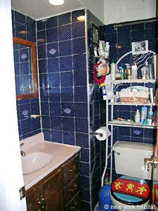 New York 3 Zimmer - Loft wohngemeinschaft - badezimmer 1 (NY-11806) photo 1 von 2