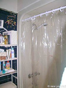 New York 3 Zimmer - Loft wohngemeinschaft - badezimmer 1 (NY-11806) photo 2 von 2