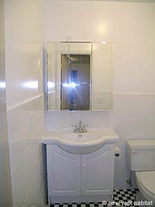 New York 4 Zimmer wohngemeinschaft - badezimmer 2 (NY-11835) photo 1 von 1