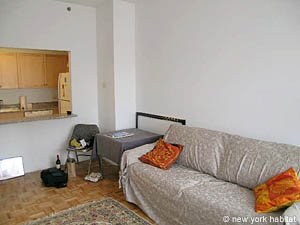 New York 2 Bedrooms roommate share apartment - living room (NY-11842) photo 4 of 5