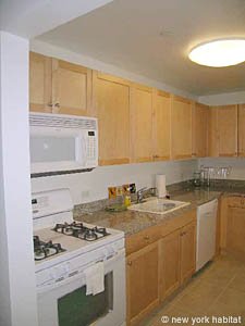 New York 2 Bedrooms roommate share apartment - bathroom 1 (NY-11842) photo 1 of 2