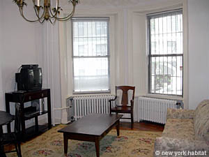 New York Monolocale appartamento casa vacanze - soggiorno (NY-11880) photo 4 di 7