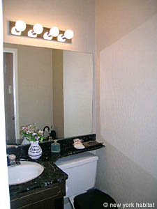 New York 3 Bedrooms roommate share apartment bathroom 2 photo 19