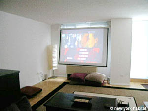 New York T2 appartements location vacances - s&eacute;jour (NY-11899) photo 5 de 8