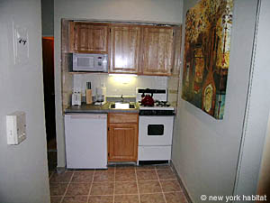 New York Studio accommodation - kitchen (NY-11933) photo 1 of 1