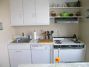 New York 2 Bedroom roommate share apartment - kitchen (NY-11980) photo 2 of 5