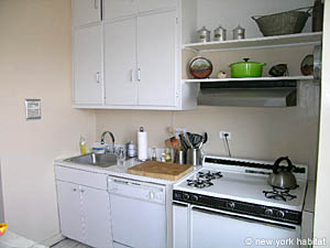 New York 2 Bedroom roommate share apartment - kitchen (NY-11980) photo 4 of 5