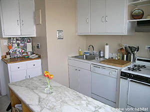 New York 2 Bedroom roommate share apartment - kitchen (NY-11980) photo 3 of 5