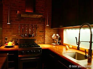 New York 1 Bedroom - Loft - Penthouse accommodation - kitchen (NY-12061) photo 5 of 6