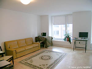 New York Alcove Studio apartment living room photo 4