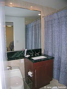 New York Alcove Studio apartment bathroom photo 6