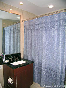 New York Alcove Studio apartment bathroom photo 7
