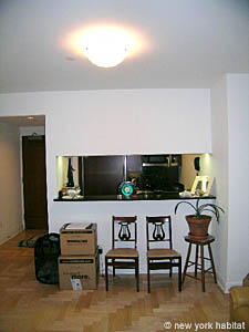 New York Alcove Studio apartment living room photo 8