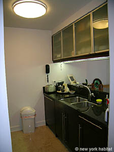 New York Alcove Studio apartment kitchen photo 10