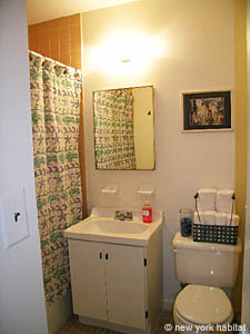 New York Studio/T1 - Loft appartements location vacances - salle d'eau (NY-12250) photo 3 de 3