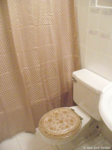 New York 3 Bedrooms accommodation bathroom 1 photo 21