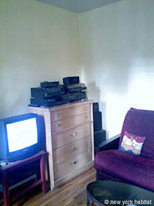 New York 2 Bedrooms roommate share apartment living room photo 3