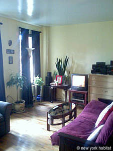 New York 2 Bedrooms roommate share apartment living room photo 12