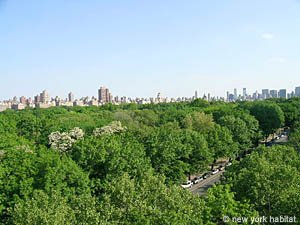 New York 1 Bedroom accommodation other photo 7