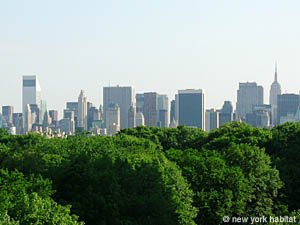 New York 1 Bedroom accommodation other photo 8