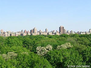 New York 1 Bedroom accommodation other photo 9