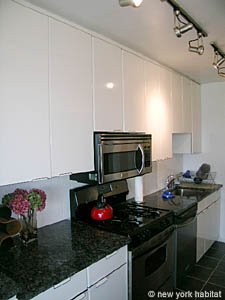 New York 1 Bedroom accommodation kitchen photo 13
