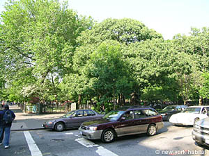 New York 2 Zimmer wohngemeinschaft - andere (NY-12338) photo 1 von 3