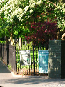 New York 2 Zimmer wohngemeinschaft - andere (NY-12338) photo 3 von 3