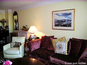 New York 1 Bedroom apartment - living room (NY-12343) photo 5 of 7