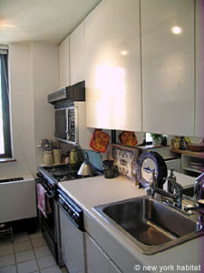 New York 1 Bedroom apartment - kitchen (NY-12343) photo 4 of 5