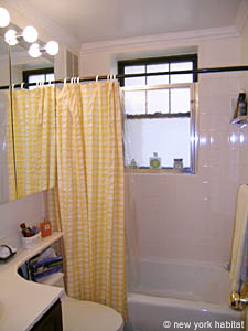 New York T3 logements location appartements salle d'eau 1 photo 12