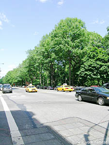 New York T3 logements location appartements autre photo 13