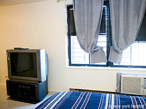 New York Monolocale appartamento - soggiorno (NY-12354) photo 4 di 6