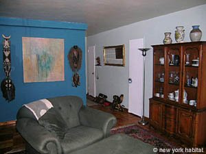 New York 1 Bedroom apartment living room photo 4
