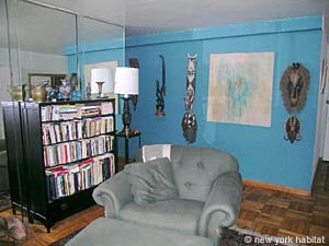 New York 1 Bedroom apartment living room photo 5