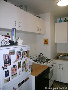 New York 1 Bedroom apartment kitchen photo 10