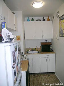 New York 1 Bedroom apartment kitchen photo 11