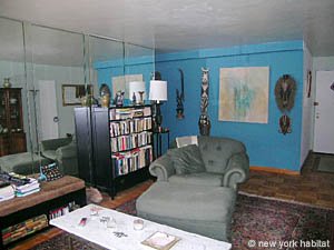 New York 1 Bedroom apartment living room photo 12