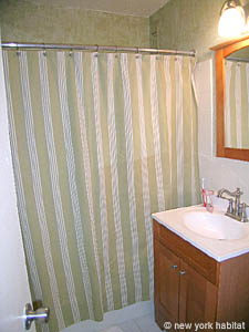 New York 2 Camere appartamento da dividere - bagno 1 (NY-12403) photo 1 di 2