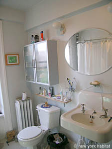 New York 1 Bedroom - Duplex - Townhouse apartment bathroom 1 photo 7