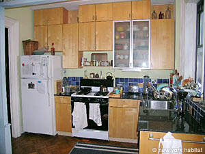 New York 1 Bedroom - Duplex - Townhouse apartment kitchen 1 photo 26